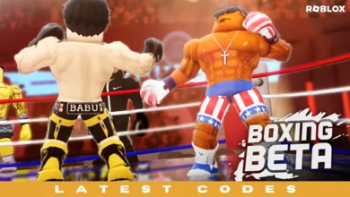 boxing beta codes