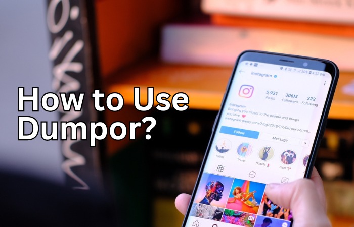 Dumpor: Your Definitive Instagram Story Watcher and Downloader