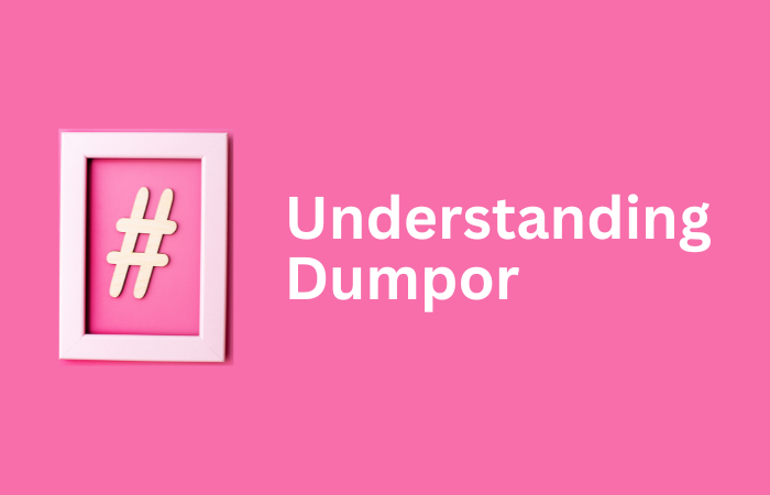 Dumpor: Your Definitive Instagram Story Watcher and Downloader