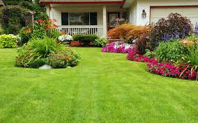 Greening Your Outside with Greener Grass Finishing