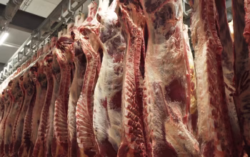 Buy Fresh Meat for Sale in Ireland with Nationwide Delivery